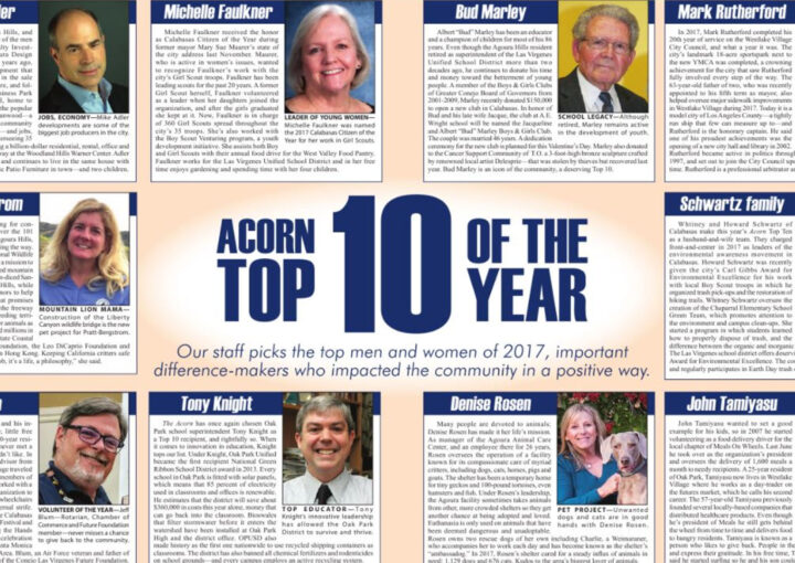 Acorn Top 10 Of The Year